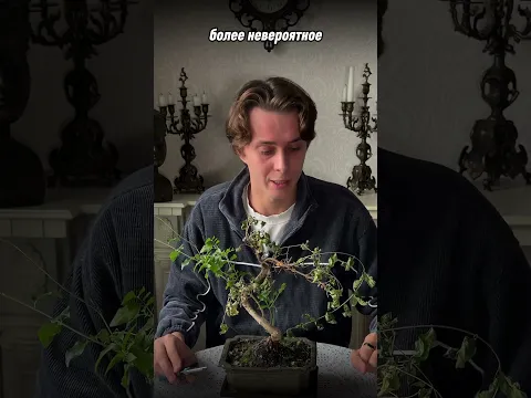 Какое имя дать?