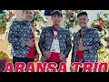 Download Lagu MAFIA CINTA || CIPT:LUMBAN JAYA SIHOMBING || ARANSA TRIO