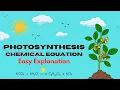 Chemical Equation for Photosynthesis Explained in Under 3 Minutes