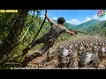 Man With Divine Eyes Climbs Mountain To Hunt Boar King Saving Starving Village Hidden War God