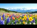 Download Lagu Relaxing music treats diseases of the heart and blood vessels🌿Gentle music, calms the nervous syste