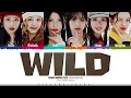 BABYMONSTER 'WILD' Lyrics (베이비몬스터 WILD 가사) [Color Coded Han_Rom_Eng] | ShadowByYoongi