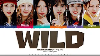 BABYMONSTER WILD Lyrics 베이비몬스터 WILD 가사 Color Coded Han Rom Eng ShadowByYoongi 