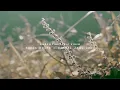 Download Lagu Banda Neira - Sampai Jadi Debu (Unofficial Lyric Video)