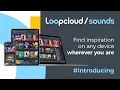 Loopcloud Sounds - Find inspiration on any device wherever you are