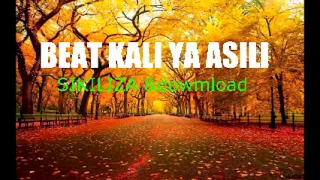 BEAT KALI YA ASILI  BEAT KALI YA ASILI