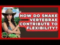 How Do Snake Vertebrae Contribute To Flexibility - Reptilian Wonders