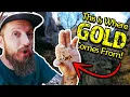 Download Lagu Going Underground to Find the Motherlode of Gold!