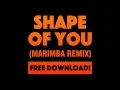 Download Lagu Shape Of You (Marimba Remix) Ringtone [FREE MP3 or iTunes]