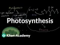 Photosynthesis Energy and matter in biological systems High school biology Khan Academy