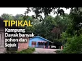 Download Lagu Abit, Kampung Dayak Tunjung yang hijau teduh banyak pohon