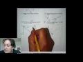 Geometry Lesson 1 6 Homework Help - 6