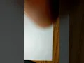 Mobius Function