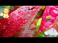 Download Lagu Audiophile Mandarin Love Song