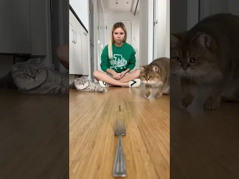 Challenge is to get a coin into the fork 😱