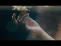 LACONIA - Catalyst Visualizer