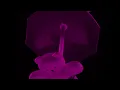 MBV - I Only Said (Visualizer)