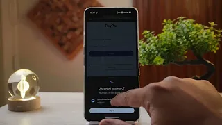 How to Login to PayPal Website Step-by-Step Guide