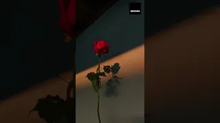 ألسنا أحق بقلب سعيد      دندنها