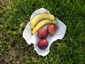 Apples and Bananas Raffi