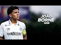 Lagu João Borne - Talented and Versatile