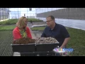 Stone Mulch vs Shredded Bark Mulch