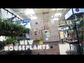 Plant Shop With Me BIG BOX STORE LOWES