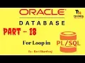 For Loop in