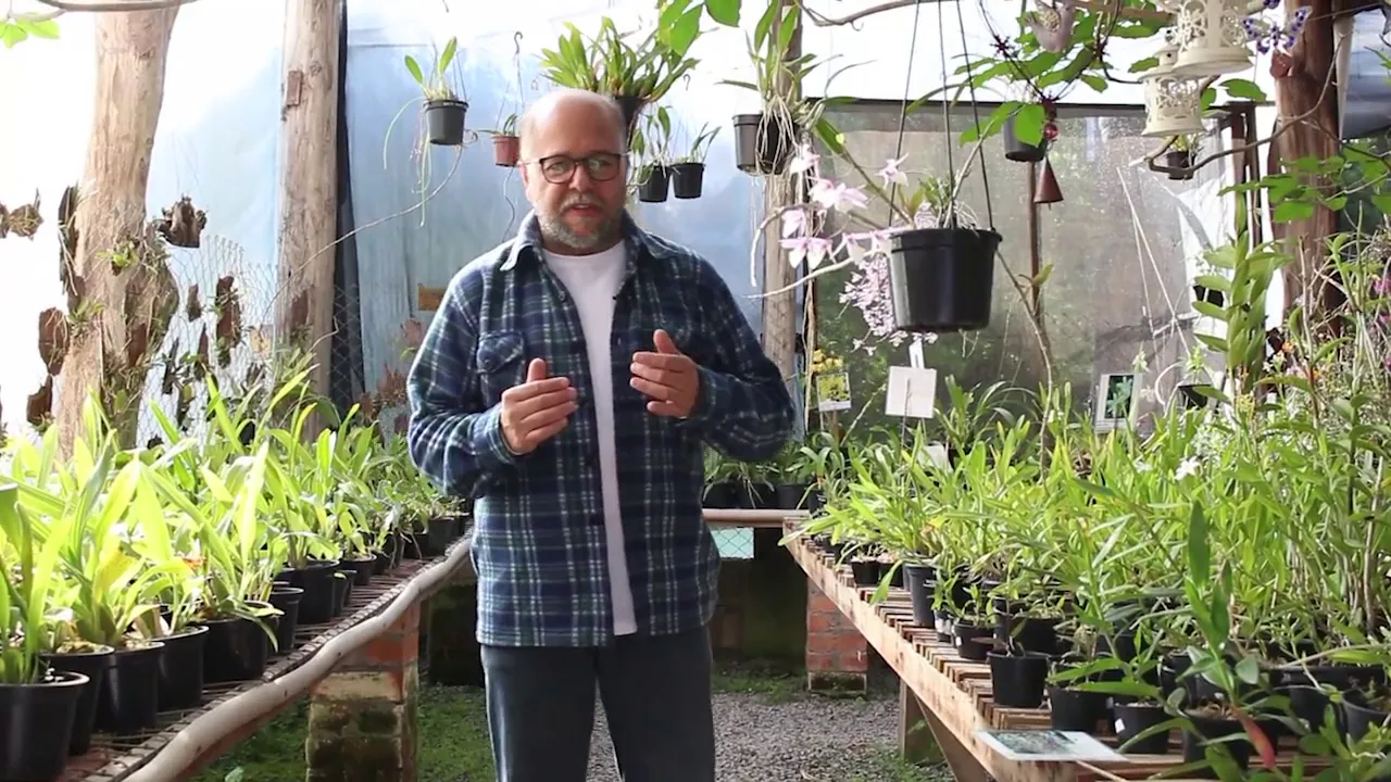 CURSO: COMO CUIDAR DE SUA ORQUÍDEA