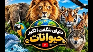                     دندنها