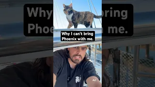 I can’t bring Phoenix with me around the world Thanks @Friskies for the support #friskiespartner #ad