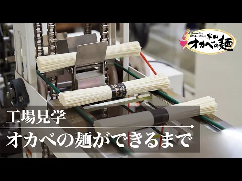 【採用・企業紹介・社員教育】インタビュー撮影+インサート撮影（SNS用も対応可）