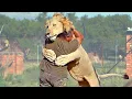 Download Lagu Animals Reunited With Owners After Years !