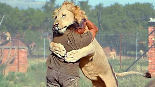 animals reunited with owners after years 