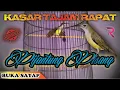 Download Lagu MASTERAN DAN PANCINGAN PIJANTUNG GACOR || DI JAMIN PIJANTUNG ANDA MERESPON ||