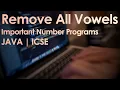 Remove all Vowels from a Sentence Important Java String Program ICSE