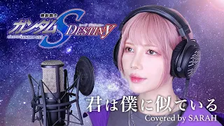 Download 【機動戦士ガンダムSEED DESTINY】See-Saw - 君は僕に似ている (SARAH cover) / Mobile Suit Gundam SEED DESTINY ED4 MP3