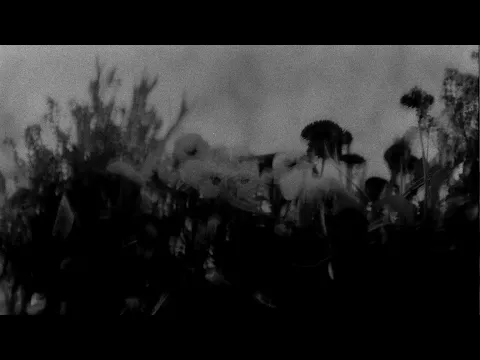 ich bin um 05:27 uhr aufgewacht und anstatt wieder zu schlafen hab ich einen kurzfilm gedreht
