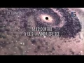 Starset - Carnivore - (Legendado)