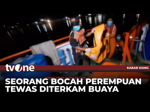 Bocah 7 Tahun di Pangkal Pinang Tewas Diterkam Buaya