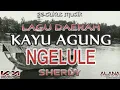 Lagu Daerah Kayuagung - Ngelule (Tina Z.) Gecakat [VIDEO LIRIK]