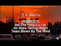 Download Lagu 背着风流泪 Bei Zhe Feng Liu Lei - 文夫 Wen Fu  (subtitle Indonesia English Pinyin)