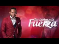 Yiyo Sarante - Terco Corazón (Letra)