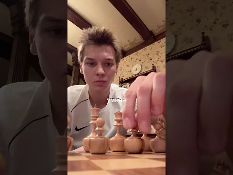 шахматы