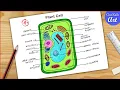 Plant Cell Diagram drawing CBSE easy way Labeled Science projects - for beginners