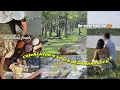 Download Lagu He Surprised Me For Our Anniversary 🥹✨ | Tiger Safari | Celebrating 4 years | Shreemayi Reddy