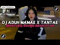 Download Lagu DJ ADUH MAMAE X TANTAE (BOOTLEG) SOUND BRAM FT AP TREND VELOCITY VIRAL TIKTOK TERBARU 2025