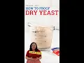 Yeast 101 How To Proof Dry Yeast