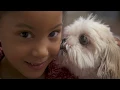 Spokane Humane Society Adopted is our favorite breed