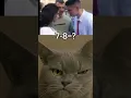 Lagu kiss never miss #cat #memes #funny